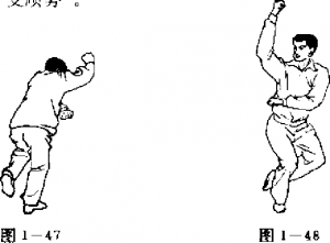 圖片30