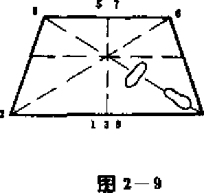 圖片7