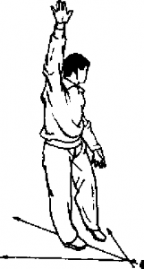 圖片12