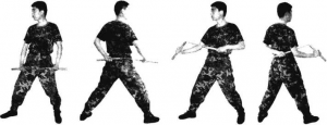 圖片14