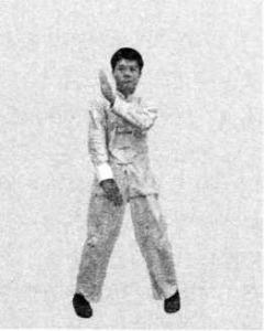 圖片19