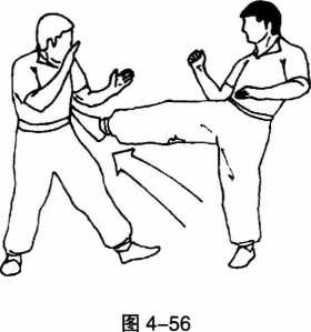 圖片52