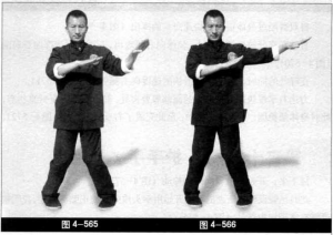 圖片104