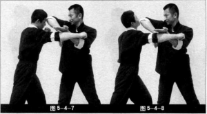 圖片86