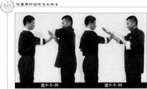 圖片111