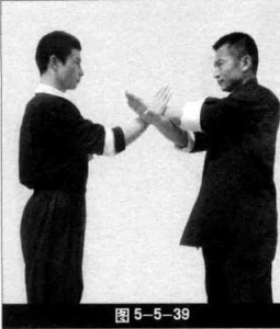 圖片116