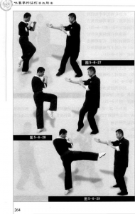 圖片133