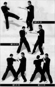 圖片134