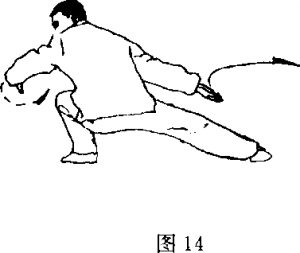 圖片12