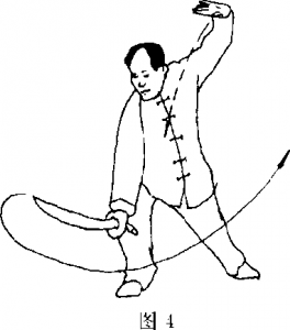 圖片5