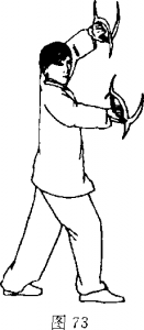 圖片12