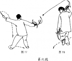 圖片15