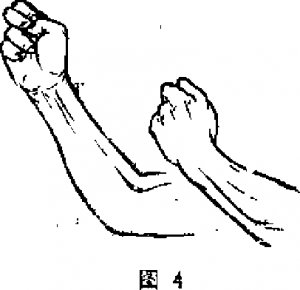 圖片5