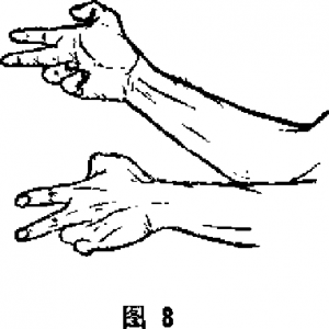 圖片8