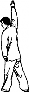 圖片5