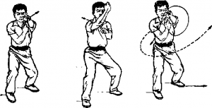 圖片8