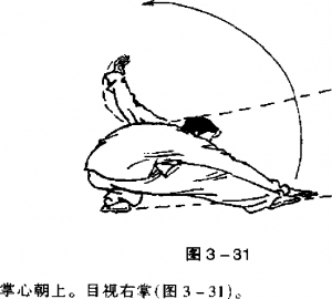 圖片77
