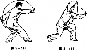 圖片12