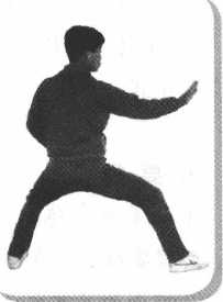 圖片14