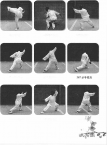 圖片146