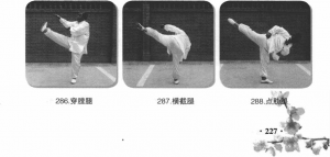 圖片155