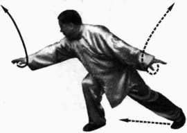 圖片33