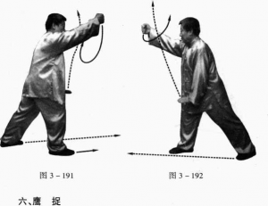 圖片48