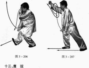 圖片56