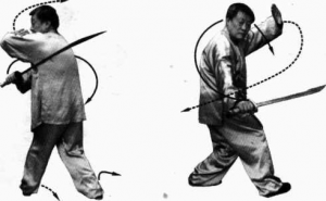 圖片74