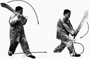 圖片117