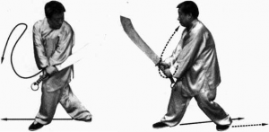 圖片131