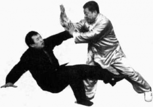 圖片148