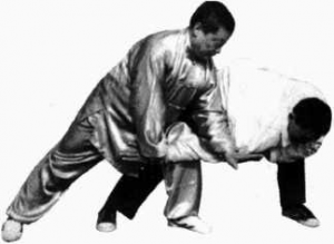 圖片154