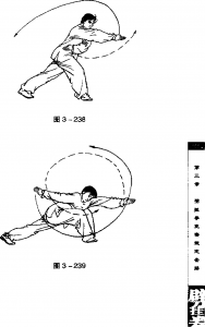 圖片113