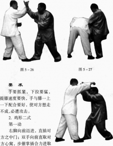 圖片8