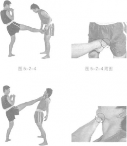 圖片95