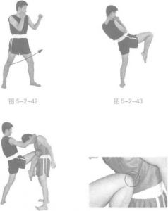 圖片108
