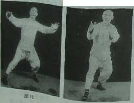 圖片7
