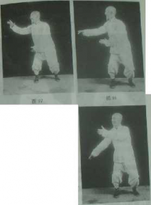 圖片31