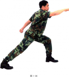 圖片13