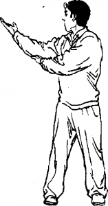 圖片44