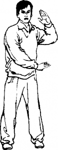圖片47