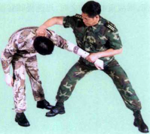 圖片39
