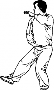 圖片154