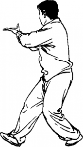 圖片166