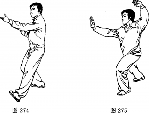 圖片182