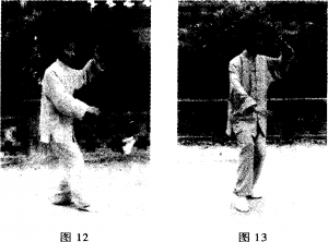圖片5