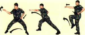 圖片9