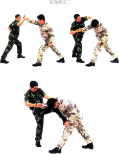 圖片12