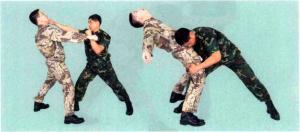 圖片14